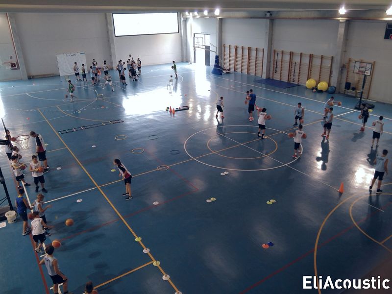 Acústica decorativa en pabellones